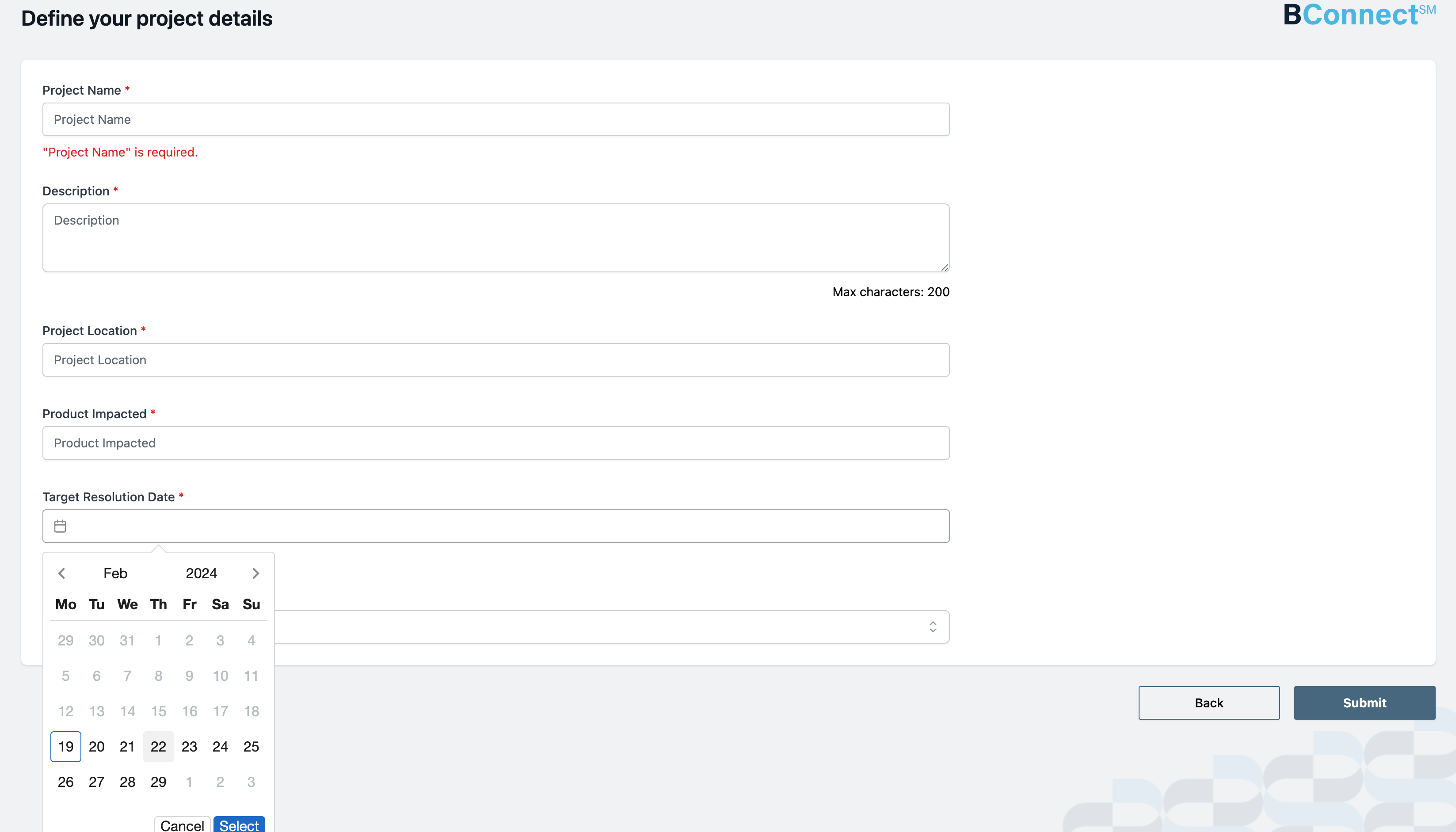 Blank project form with an open datepicker